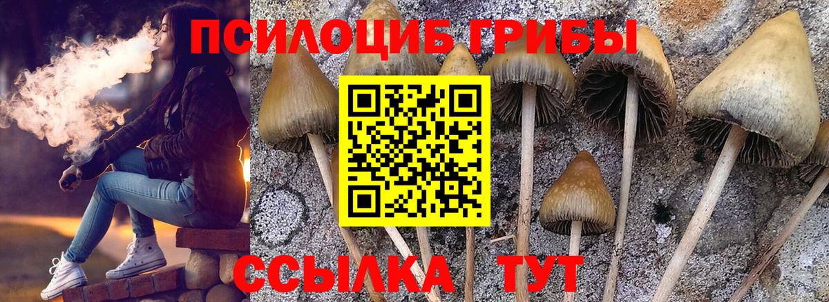 Псилоцибиновые грибы Cubensis  Вход с VPN  Нефтекамск 