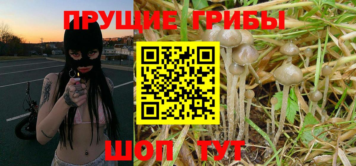 Псилоцибиновые грибы Magic Shrooms Нефтекамск